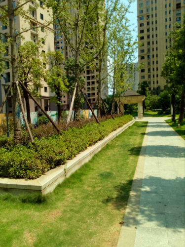 长沙市岳麓区福天洋湖时代苑法拍房 岳麓区法拍房 起拍价格95万