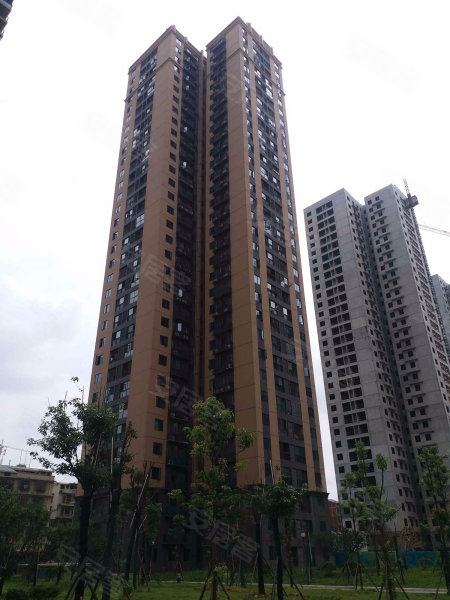 岳麓区乐谷园法拍房  房型周正南北通透！