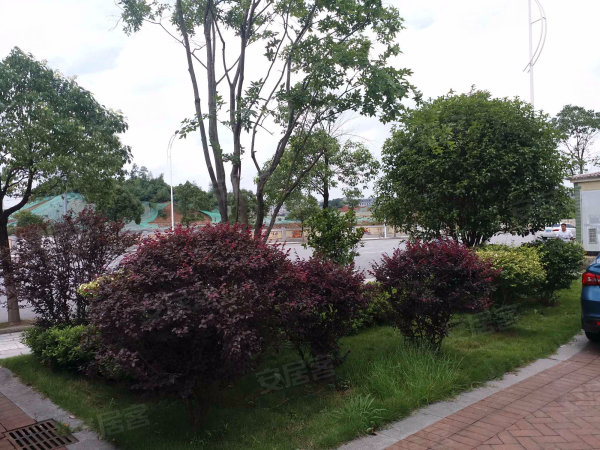 岳麓区乐谷园法拍房  房型周正南北通透！