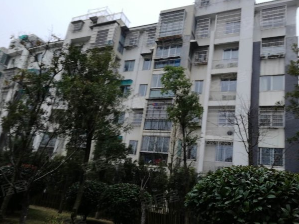 长沙天心区九峰小区精装法拍房 天心区200平米法拍房地铁口双学位