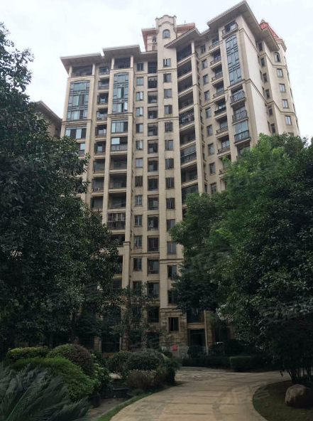 ​长沙望城区长沙玫瑰园精装法拍房 望城区近湘江新城地铁站法拍房