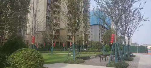 长沙开福区法拍房结果 长沙开福区保利堂悦府法拍房信息