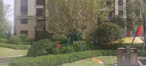 长沙开福区法拍房结果 长沙开福区保利堂悦府法拍房信息