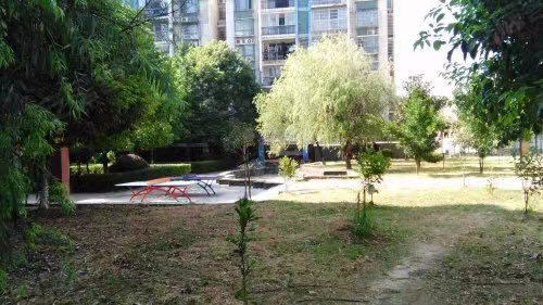 长沙开福区法拍房结果 长沙市开福区江滨玫瑰园法拍房最新消息