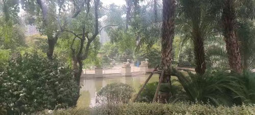 ​长沙开福区法拍房在哪里买 长沙法拍房最新动态