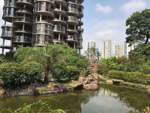 ​长沙开福区法拍房在哪里买 长沙法拍房最新动态