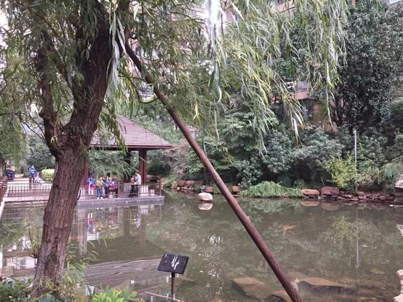 长沙万博汇名邸法拍房最新消息  长沙雨花区法拍房六十几个平方