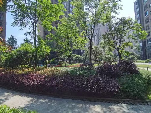 长沙市岳麓区麓谷法拍房最新消息 ​长沙金鹰玖珑山法拍房