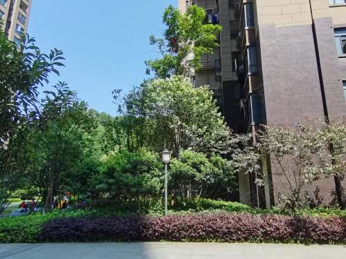 长沙市岳麓区麓谷法拍房最新消息 ​长沙金鹰玖珑山法拍房