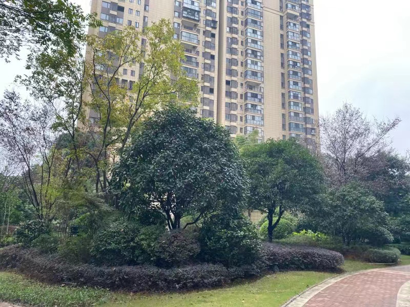 长沙县保利香槟国际法拍房 长沙县法拍房要资格吗