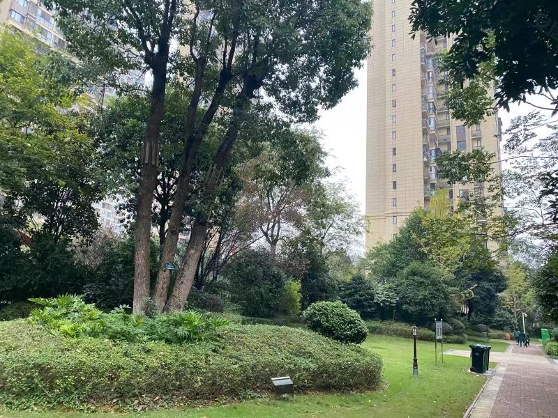 长沙县保利香槟国际法拍房 长沙县法拍房要资格吗