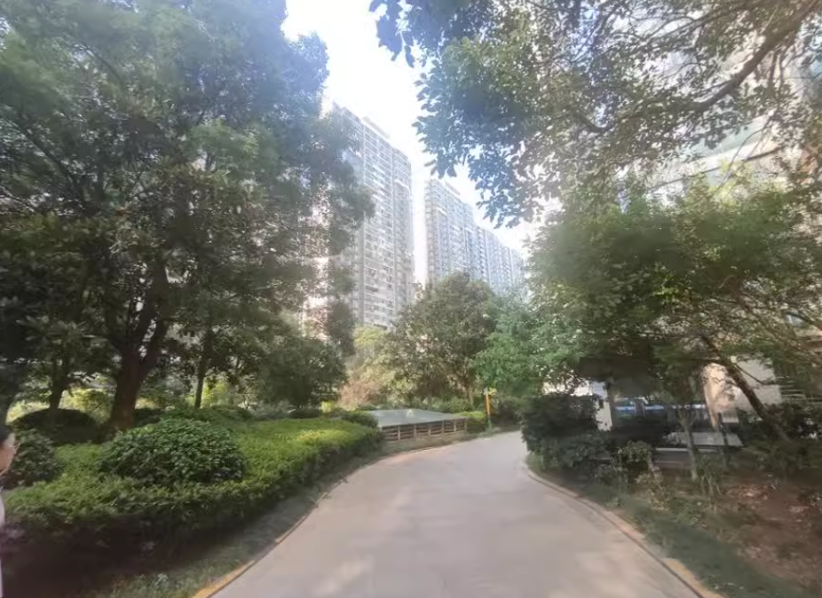 长沙湘江世纪城揽江苑法拍房 长沙湘江世纪城法拍房最新消息
