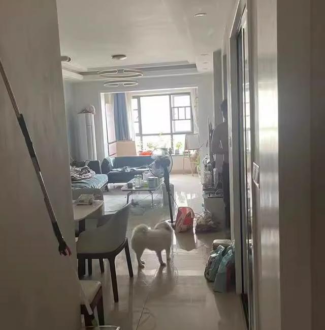 长沙近期法拍房数据 长沙新增法拍房套数 长沙近期法拍房数据 长沙新增法拍房套数