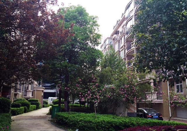 ​长沙岳麓区法拍房最新房源信息枫华府第 岳麓区不限购法拍房