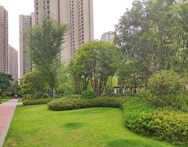 ​长沙梅岭国际法拍房最新消息公布 长沙梅溪湖最新法拍房房源