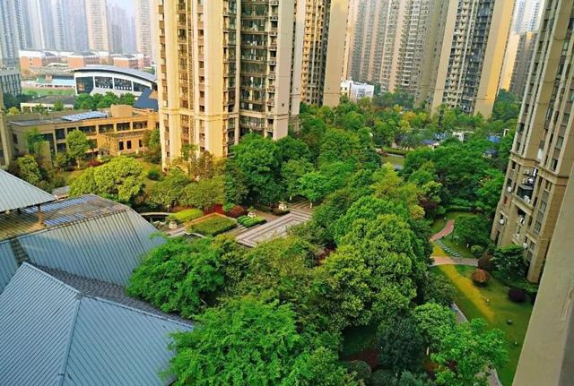 长沙璞丽景园法拍房 长沙梅溪湖最新法拍房房源