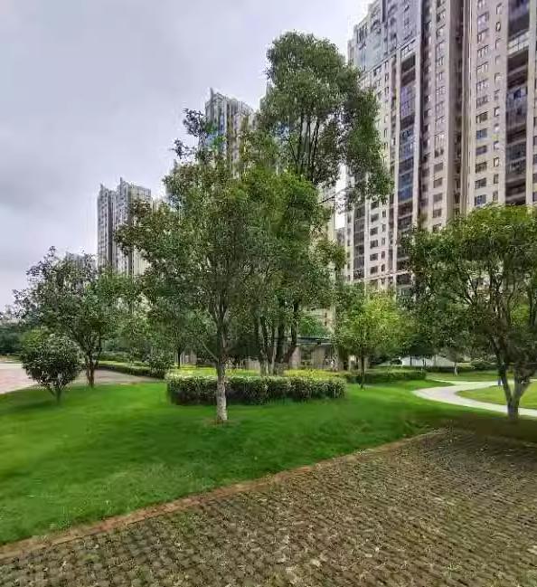 长沙法拍房最新消息公示名单 长沙法拍房网官网平台 长沙法拍房最新消息公示名单 长沙法拍房网官网平台