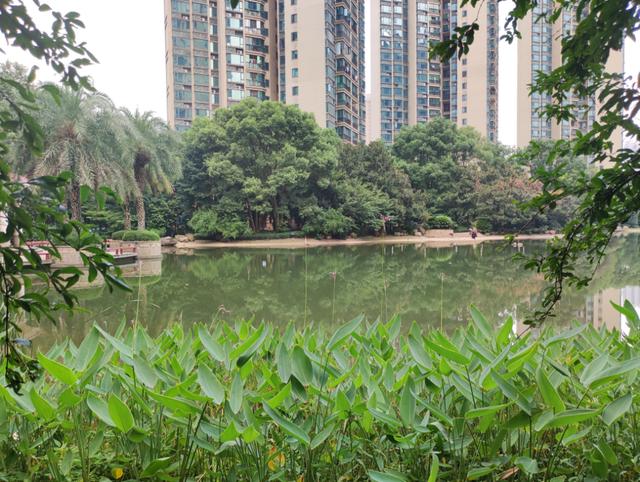 长沙法拍房有多少套2023年房源出售 长沙法拍房有多少套2023年  长沙法拍房有多少套2023年房源出售 长沙法拍房有多少套2023年