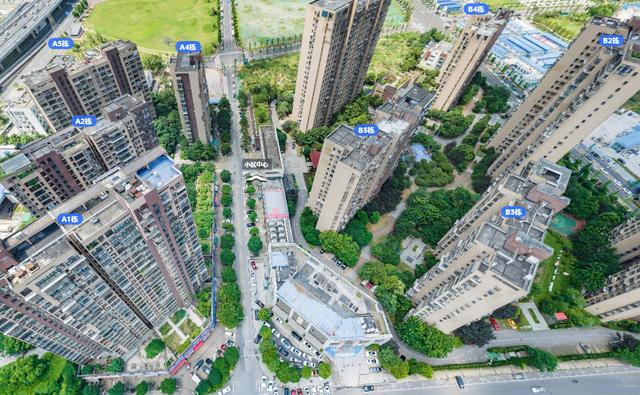 长沙法拍房最新信息数据 长沙市法拍房信息公示 长沙法拍房最新信息数据 长沙市法拍房信息公示