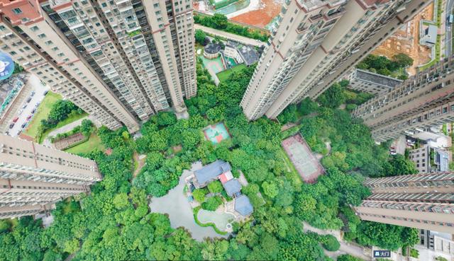 长沙的法拍房数量 长沙法拍房数量新高 长沙的法拍房数量 长沙法拍房数量新高