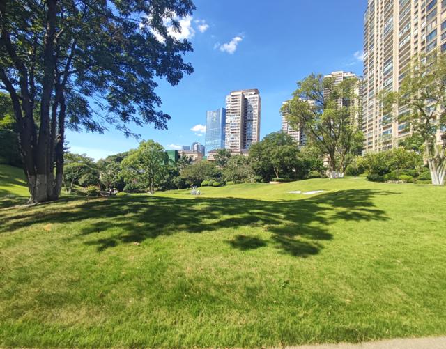 中建江山壹号法拍房最新消息 长沙市中心豪宅法院拍卖 中建江山壹号法拍房最新消息 长沙市中心豪宅法院拍卖