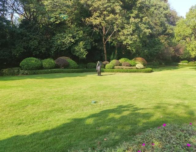 中建江山壹号法拍房最新消息 长沙市中心豪宅法院拍卖 中建江山壹号法拍房最新消息 长沙市中心豪宅法院拍卖