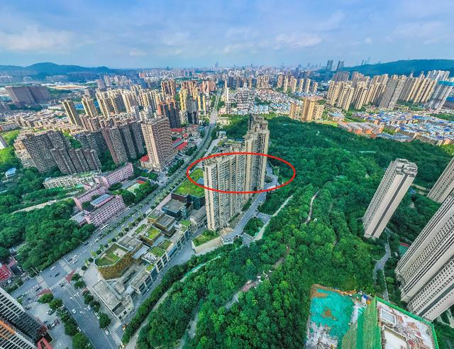 骑龙苑和梅溪花园法拍房哪个好 长沙梅溪湖法拍房网官网