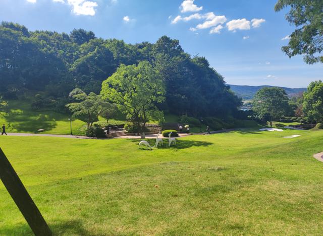 长沙断供法拍房中建江山壹号  长沙断供法拍房多少套 长沙断供法拍房中建江山壹号  长沙断供法拍房多少套