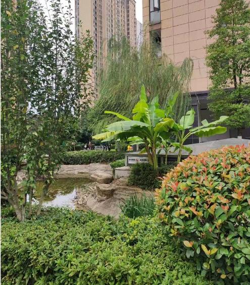 长沙麓谷楼盘法拍房推荐荣盛花语馨苑 长沙首付10万内的法拍房有哪些? 长沙麓谷楼盘法拍房推荐荣盛花语馨苑 长沙首付10万内的法拍房有哪些?