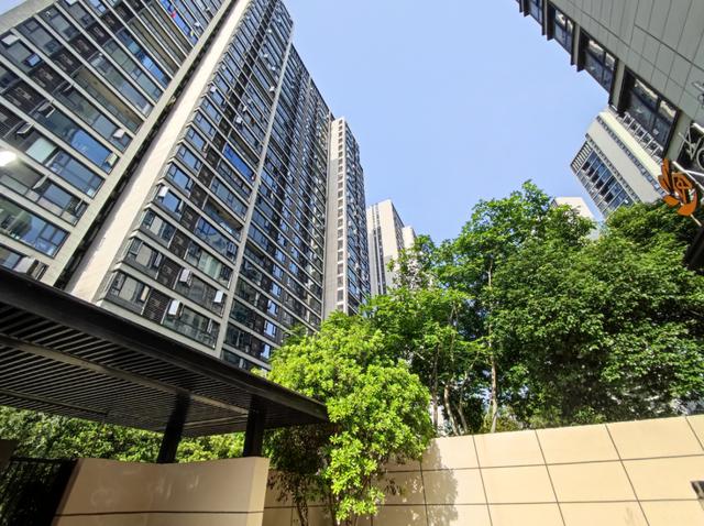 长沙中海阅江府法拍房最新消息 长沙洋湖中海阅江府法拍房最新消息