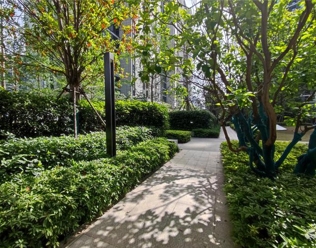 长沙中海阅江府法拍房最新消息 长沙洋湖中海阅江府法拍房最新消息 长沙中海阅江府法拍房最新消息 长沙洋湖中海阅江府法拍房最新消息