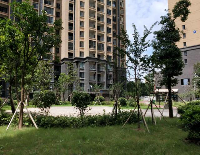 长沙为什么有那么多法拍房 长沙法拍房房源 长沙为什么有那么多法拍房 长沙法拍房房源