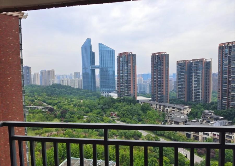 长沙高铁南站附近法拍房和价格,雨花区沙湾公园吉联苑/半山壹号有没有法拍房