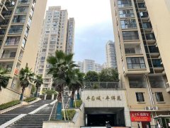 长沙市丰祥苑法拍房(毛坯带长郡雨花外国语学校)