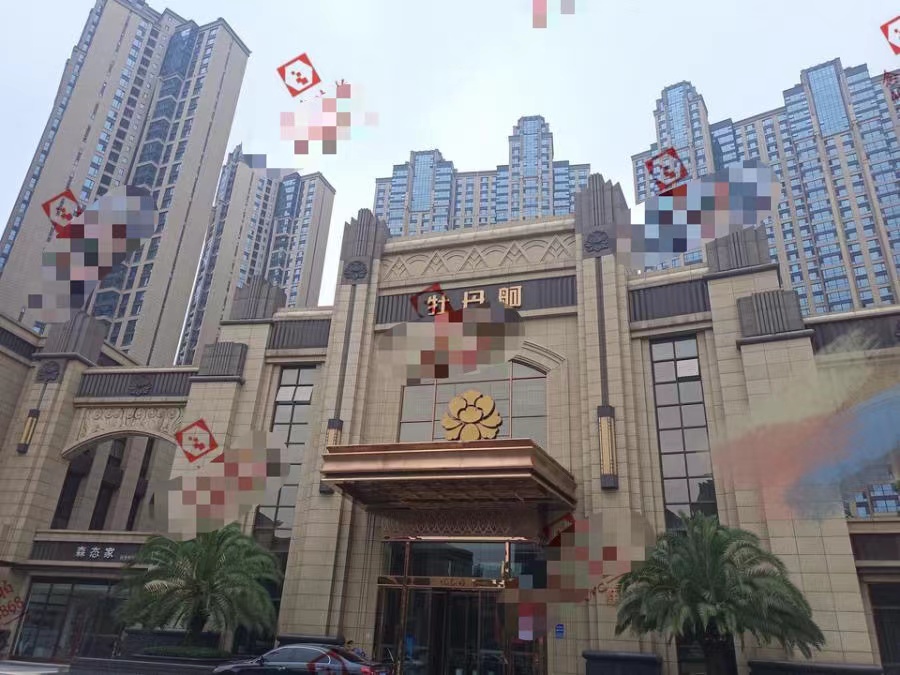 长沙梅溪湖晟通牡丹苑法拍房法拍价格410万元
