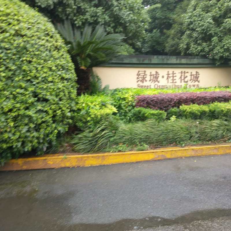 长沙绿城桂花城法拍房 长沙绿城桂花城法拍房靠谱吗