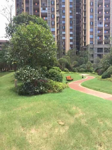 长沙天心区法拍房价格 长沙荣盛花语书苑住宅法拍房