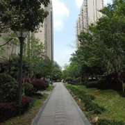 长沙博林金谷法拍房 长沙博林金谷不限购