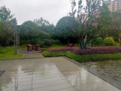 咨询长沙市岳麓区的法拍房 长沙梅溪湖玺悦法拍房