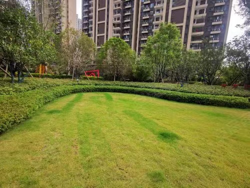 咨询长沙市岳麓区的法拍房 长沙梅溪湖玺悦法拍房