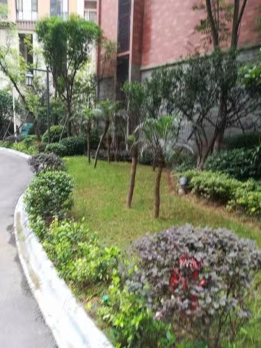 湖南法拍房网站 长沙岳麓区蓝光coco蜜城法拍房 