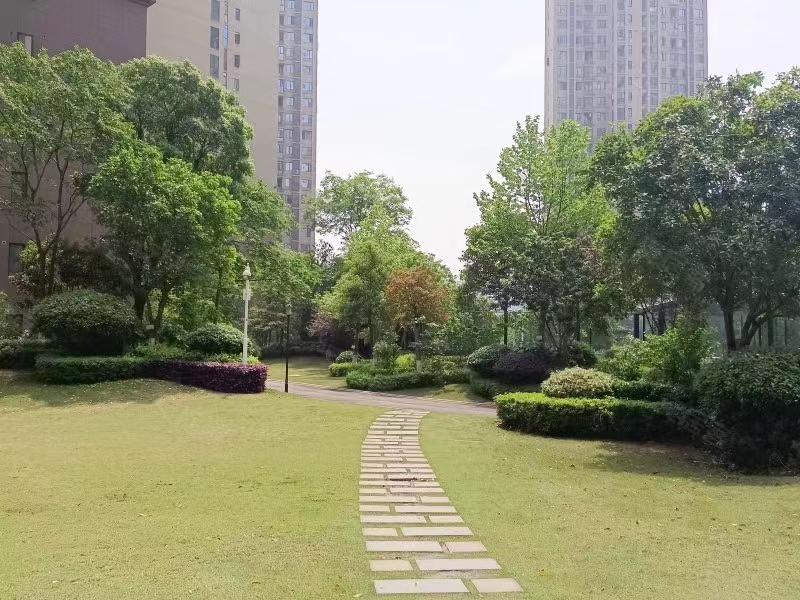 长沙梅溪湖最新法拍房房源 中建梅溪湖中心法拍房