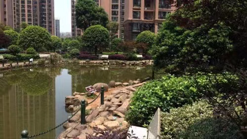 长沙法拍房丽发新城 长沙最近捡漏法拍房