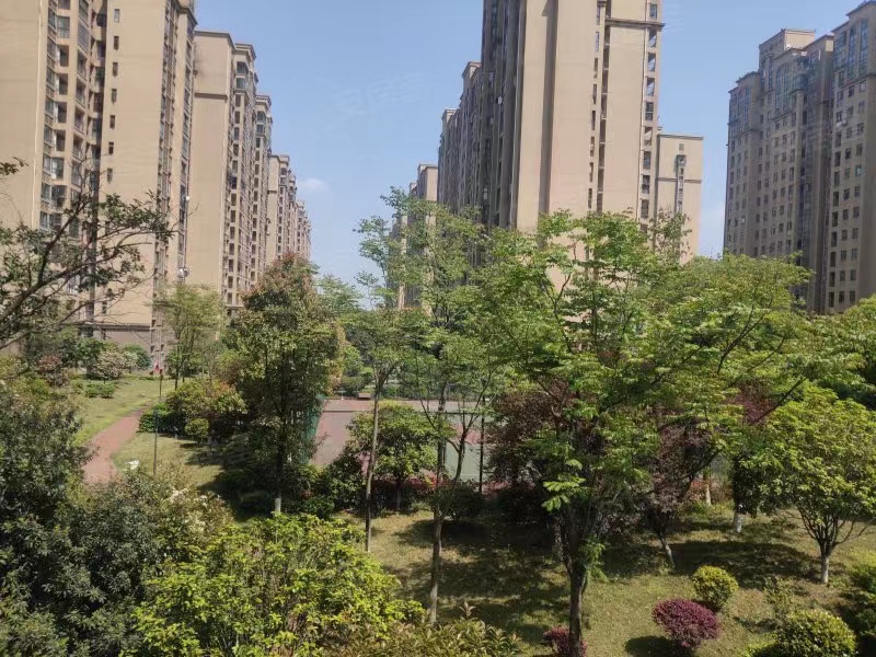 长沙法拍房丽发新城 长沙最近捡漏法拍房