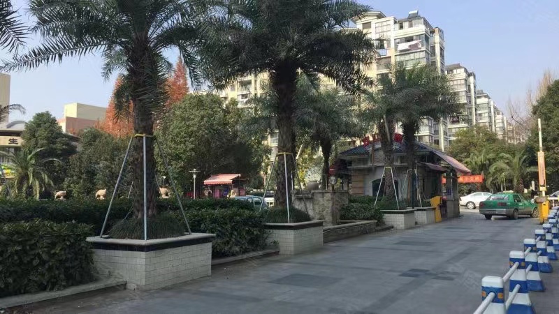 长沙法拍房丽发新城 长沙最近捡漏法拍房