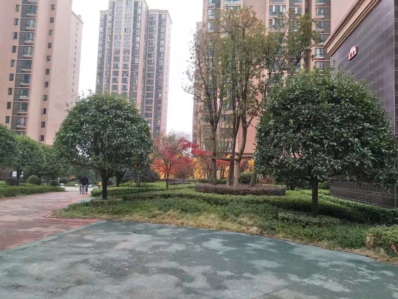 长沙法拍房丽发新城 长沙最近捡漏法拍房