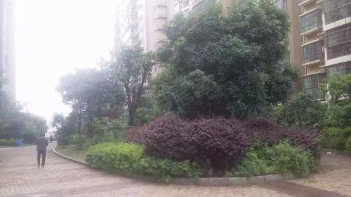 长沙市雨花区有哪些法拍房 长沙雨花区天赐良园法拍房