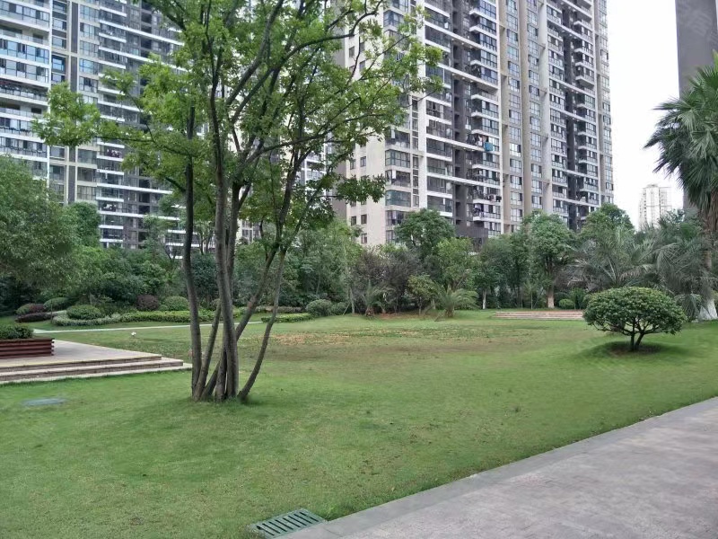 雨花区法拍网网站 长沙融科东南海法拍房