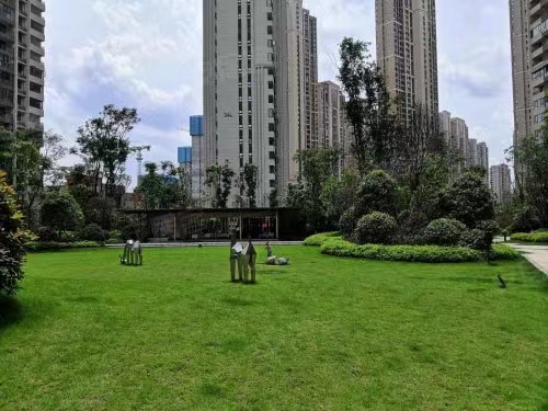 梅溪湖法拍房 长沙市云顶梅溪湖法拍房