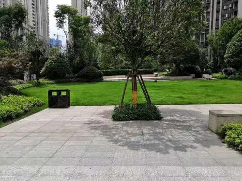 梅溪湖法拍房 长沙市云顶梅溪湖法拍房